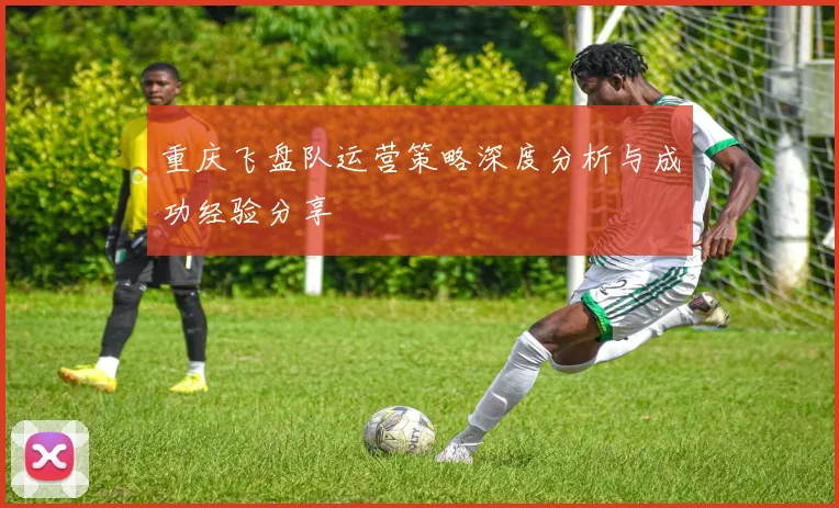 重庆飞盘队运营策略深度分析与成功经验分享